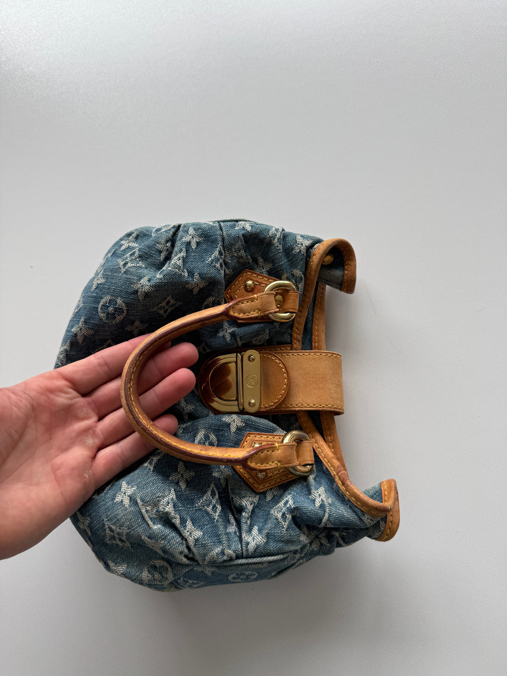Louis Vuitton Pleaty Bag