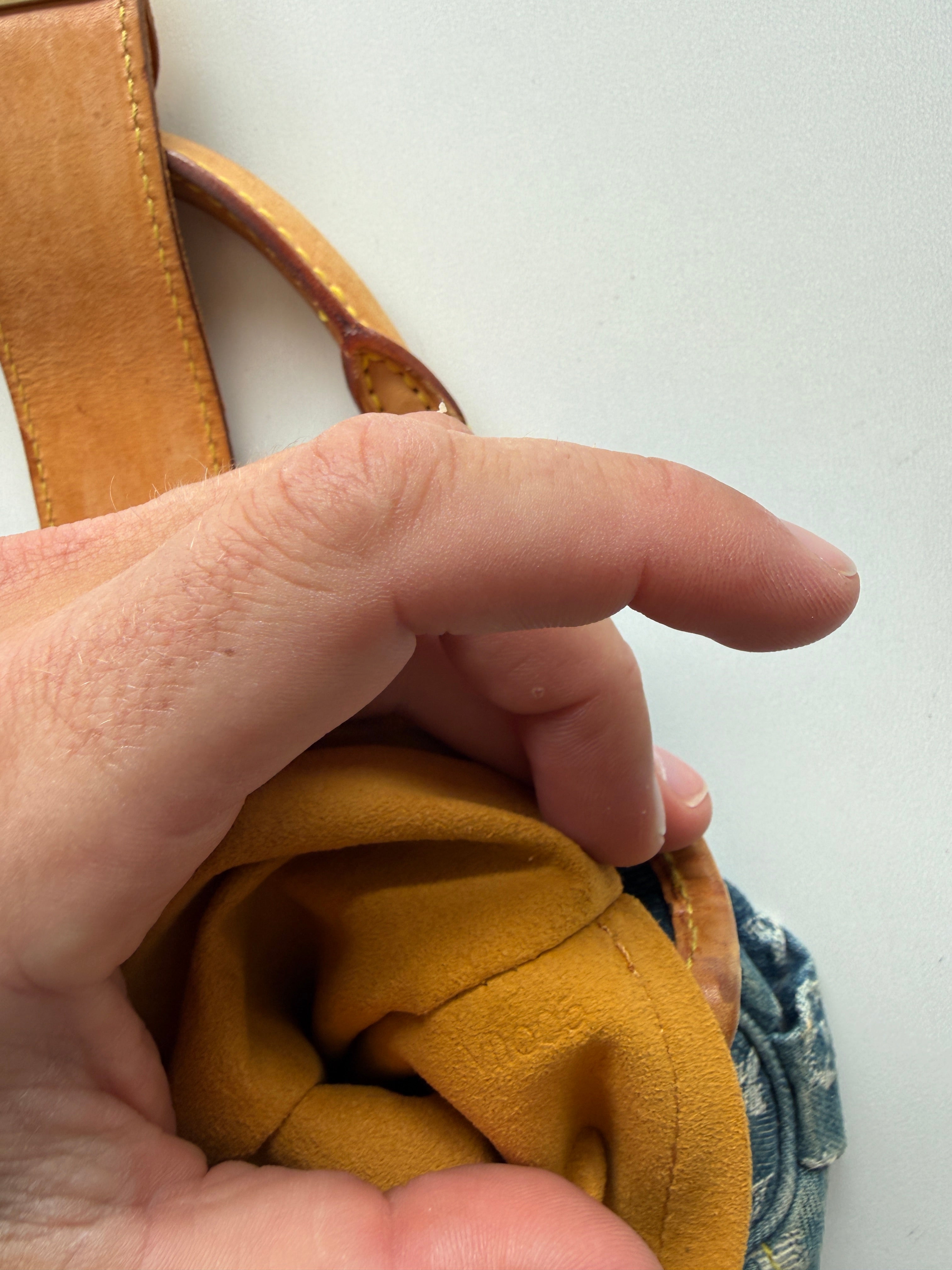 Louis Vuitton Pleaty Bag