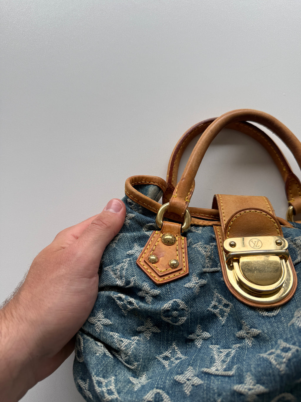 Louis Vuitton Pleaty Bag
