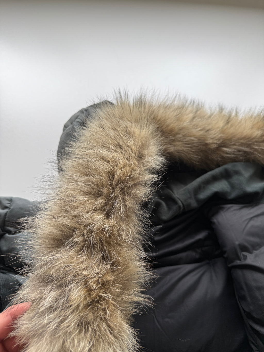 Stone Island Reslin Poplin Down Jacket